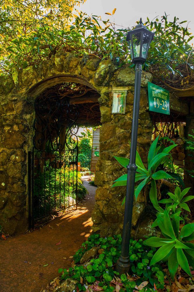 丹百林山 B&B 民宿,TAMBORINE MOUNTAIN BED AND BREAKFAST
