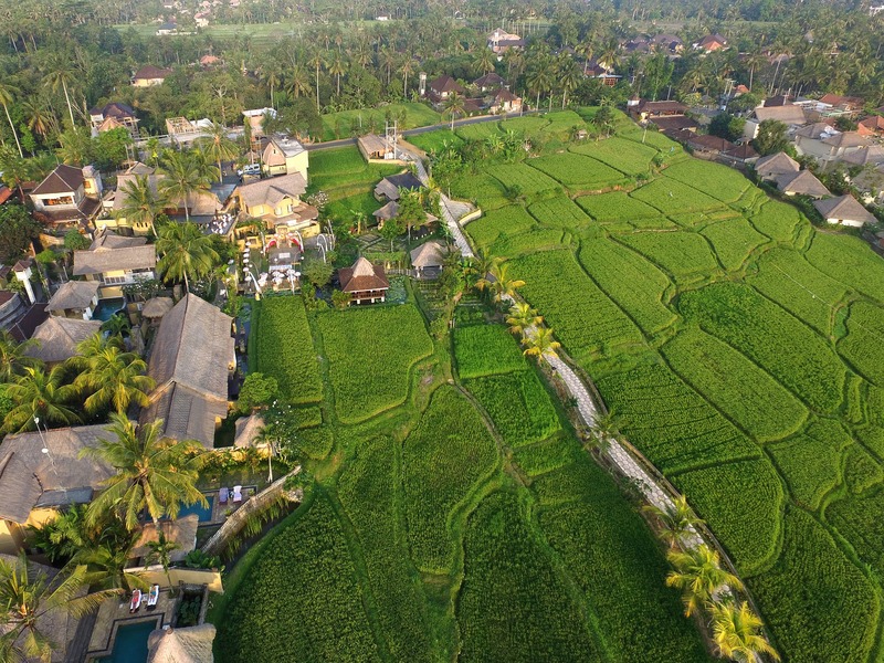 瓦帕迪尤美烏布德飯店,WAPA DI UME UBUD