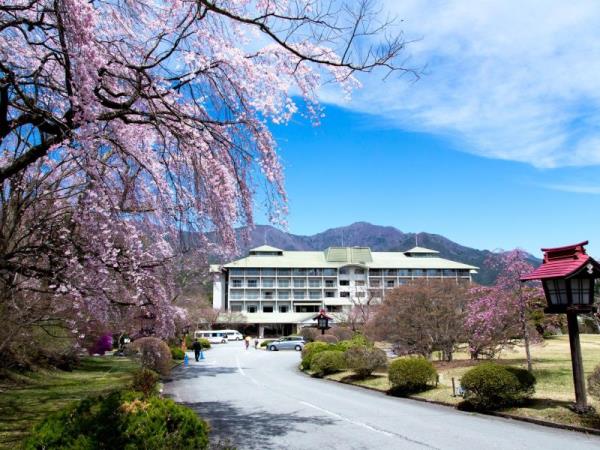 富士景觀酒店,FUJI VIEW HOTEL