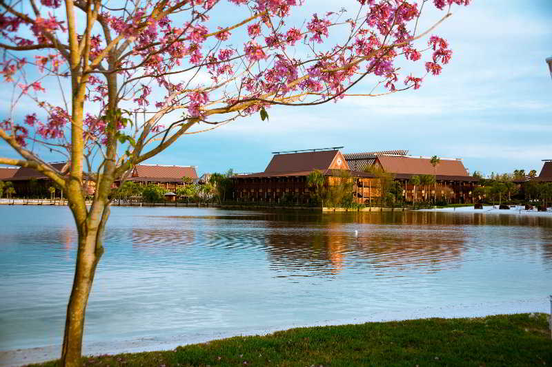 迪士尼波利尼西亞村度假飯店,DISNEY S POLYNESIAN VILLAGE RESORT