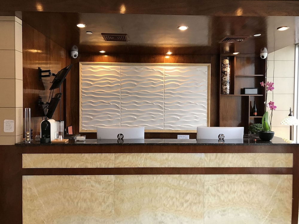 含羞草飯店,HOTEL MIMOSA