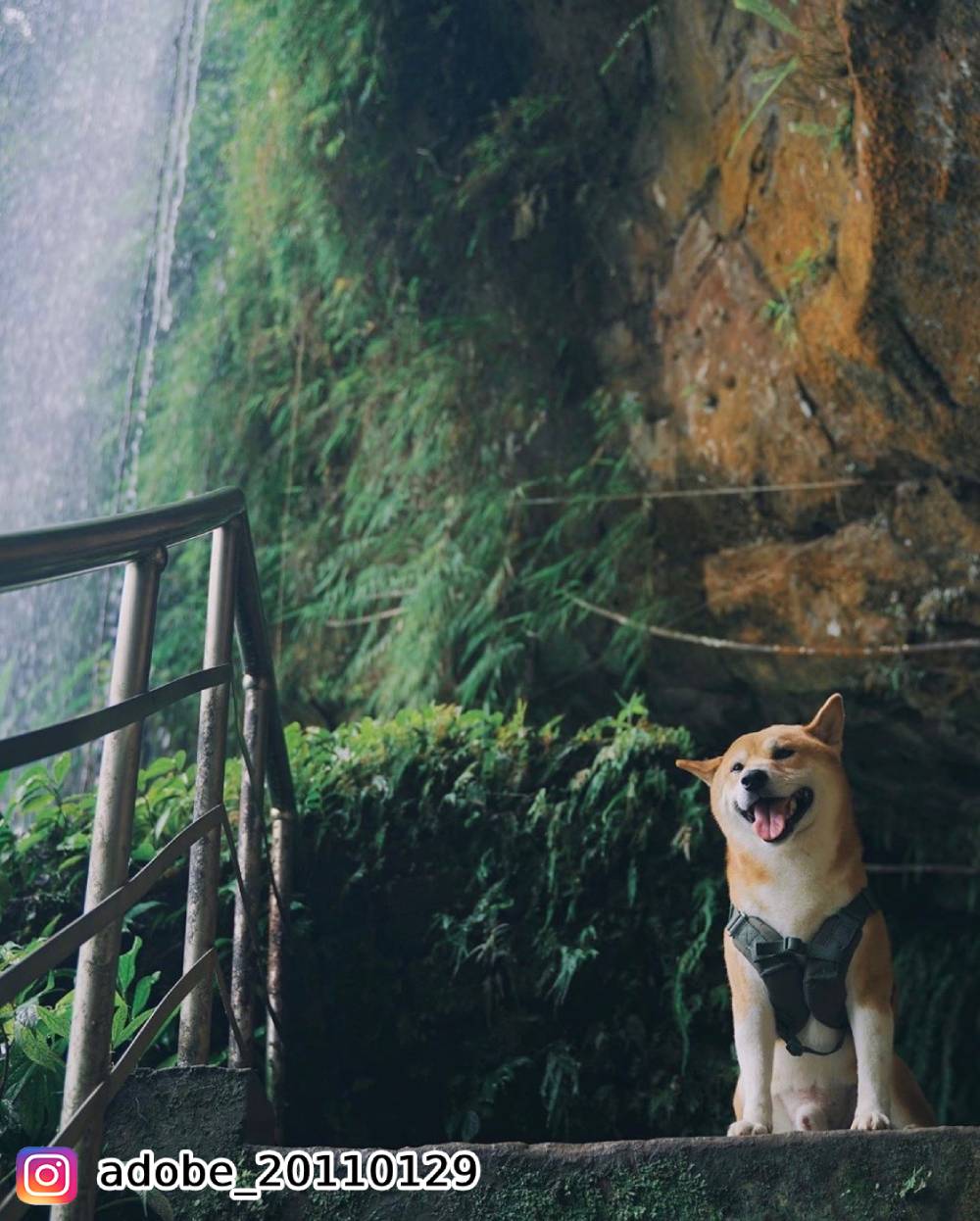 銀河洞登山道路,登山步道,瀑布,自然景觀,秘境,森林