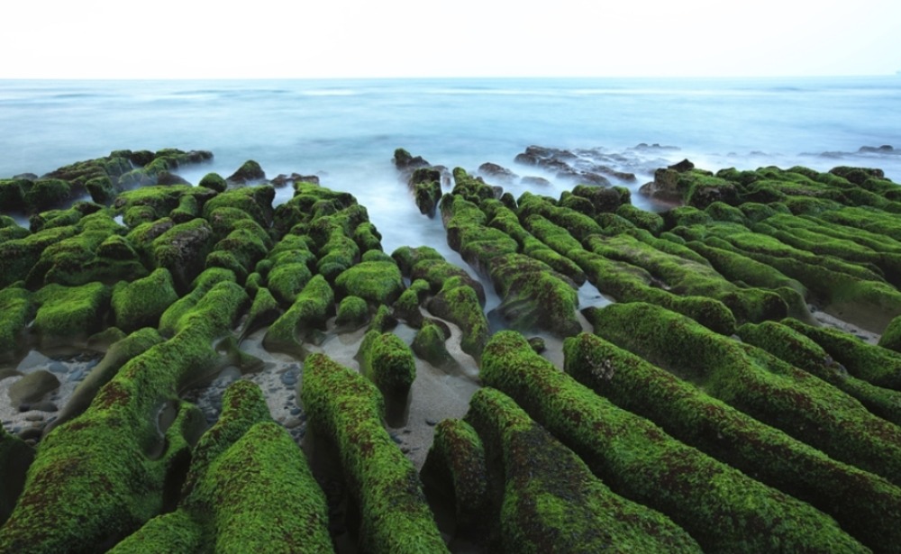 老梅石槽,北海岸,大屯山,婚紗景點,季節限定,日落景點