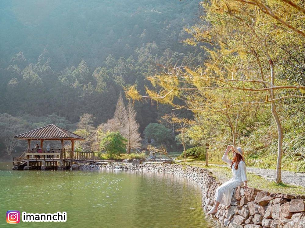 明池森林遊樂區,力麗馬告生態園區,神木