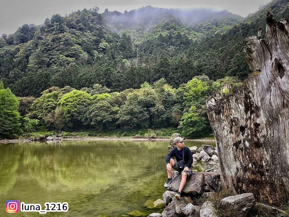 明池森林遊樂區,力麗馬告生態園區,神木