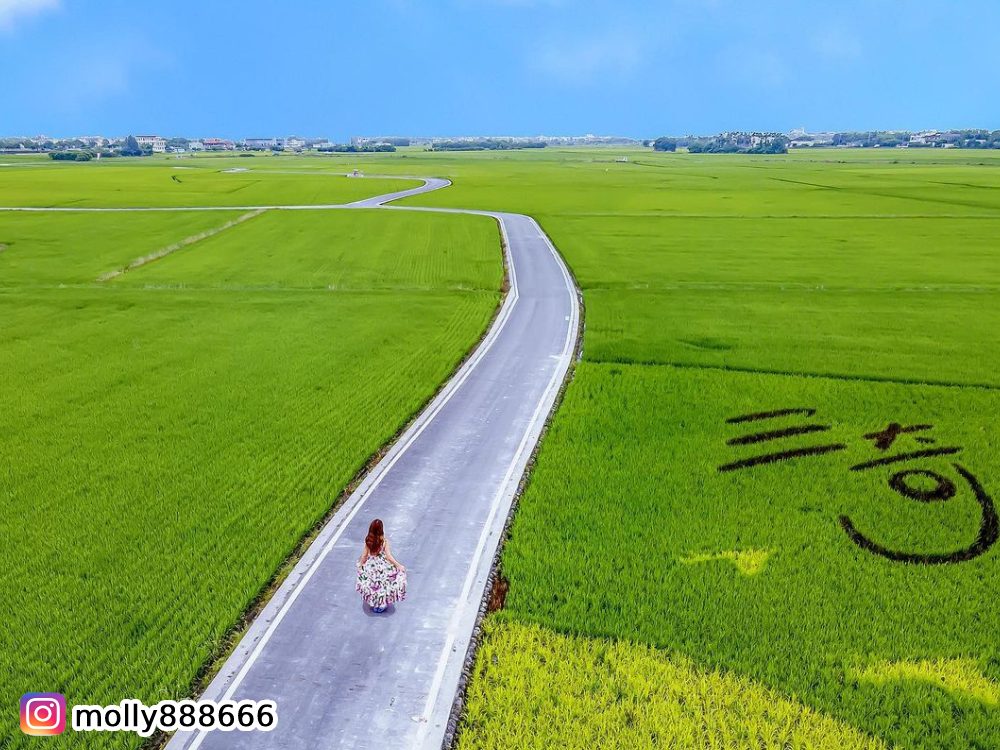 宜蘭伯朗大道,冬山三奇村,稻田美景