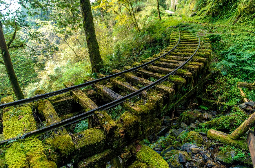 見晴懷古步道,太平山森林遊樂區,森林鐵路步道