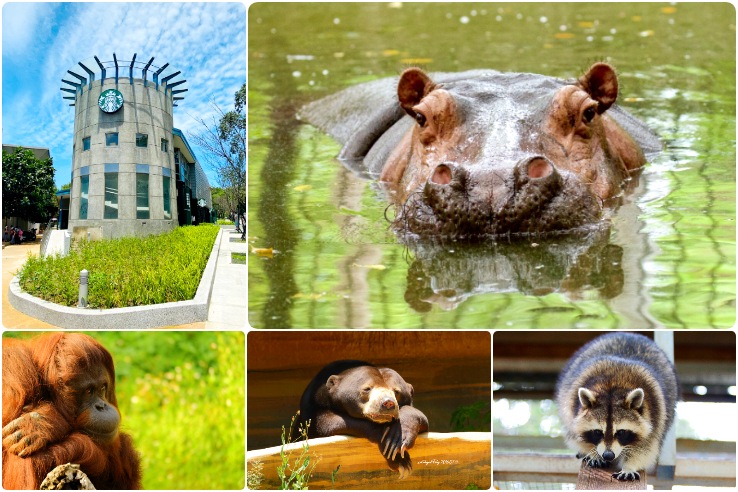 新竹動物園,森林食堂,新竹公園,玻璃工藝博物館