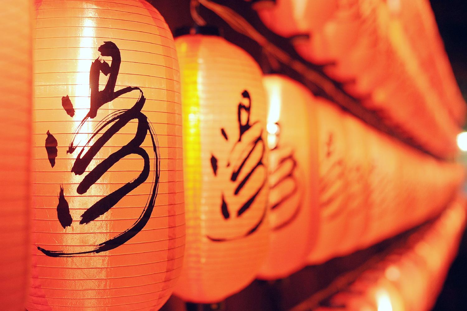 泰安溫泉,溫泉飯店,錢湯,落羽松