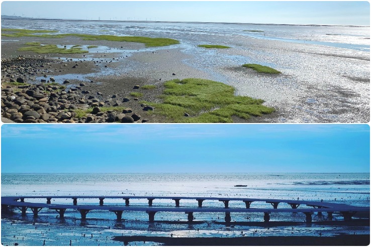 香山濕地,十七公里海岸線,賞蟹步道,濕地生態