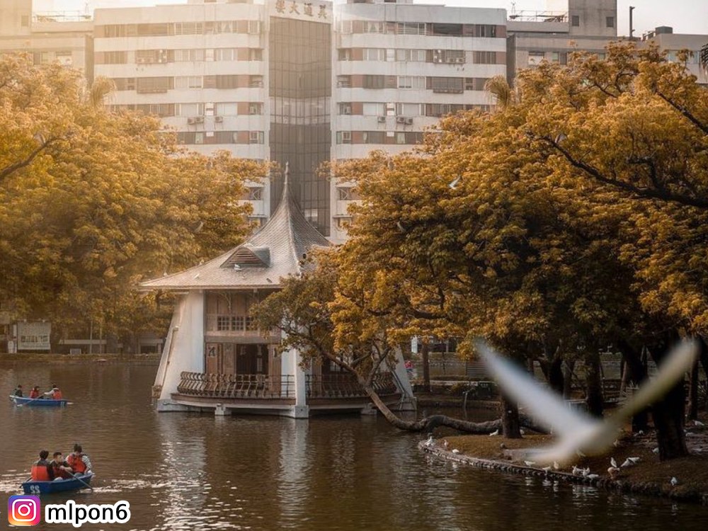 台中公園,台中市區景點,親子景點