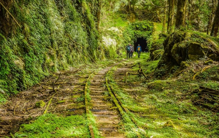 嘉義旅遊 漫步眠月線 免睡帳篷 賓士包車到府接送二日 六人成行 22ts804mm1 T 嘉義 雄獅旅遊