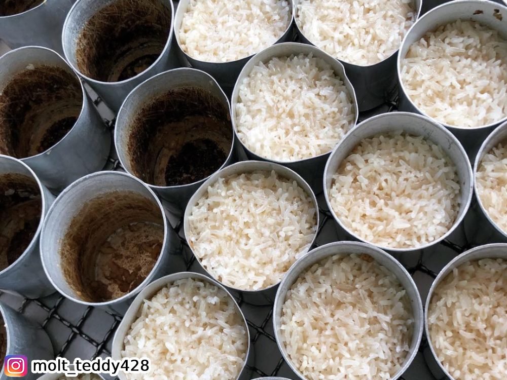 斗南美食,米糕甲