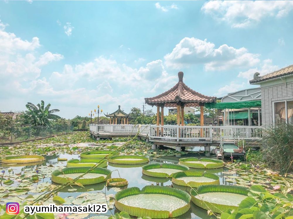 台南景點,台南白河,白荷蓮香亭