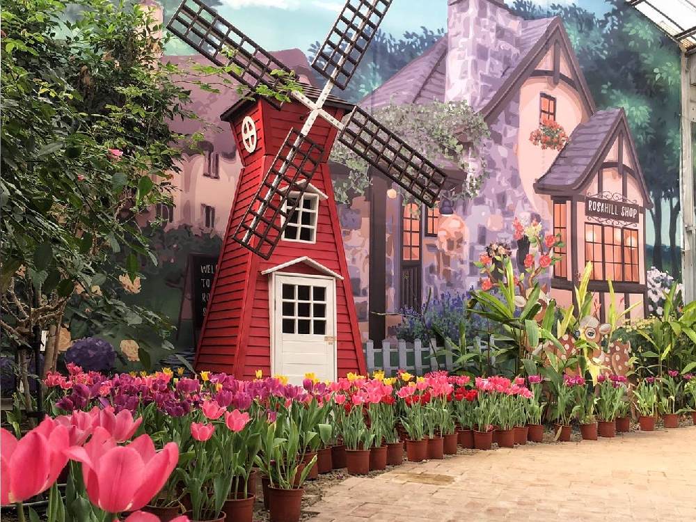 蘿莎玫瑰山莊 蘿莎玫瑰山莊,古坑景點,玫瑰莊園