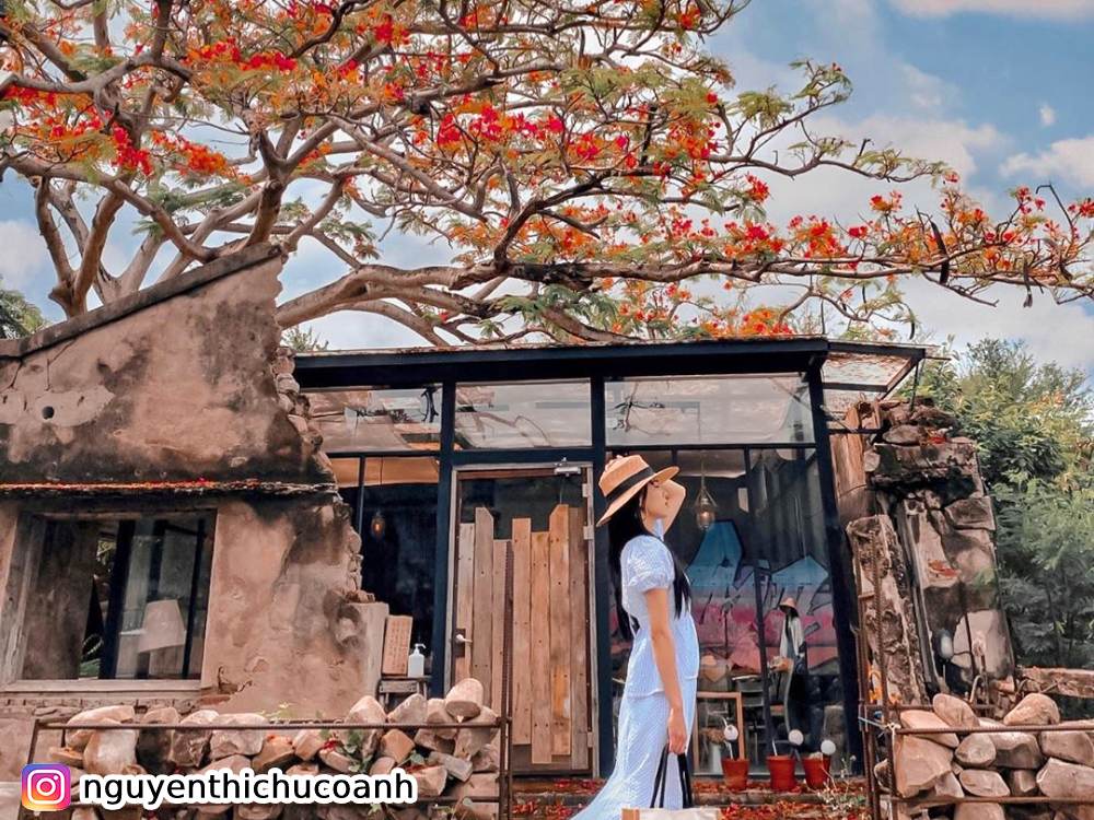 屏東樹夏飲事,玻璃屋咖啡廳,鳳凰樹下,早午餐,下午茶,IG打卡景點