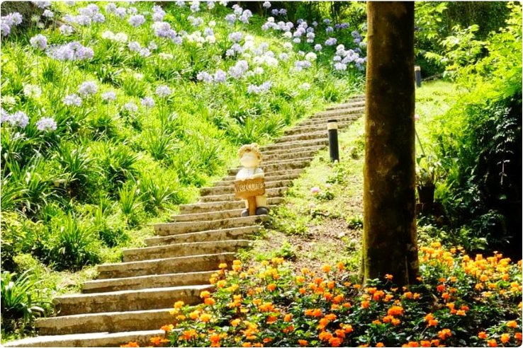 台中旅遊 祕密花園森林花卉 桃李河畔品美食 最親民大坑9號步道 童話幸福莊園心之芳庭 浮游花diy一日 22tm913mon T 台中 雄獅旅遊