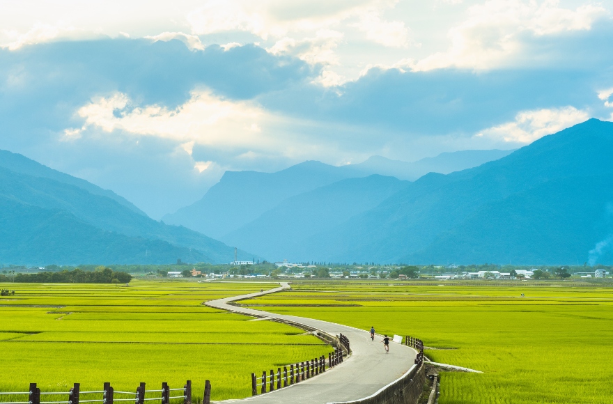 池上鄉天堂之路,伯朗大道,台東景點