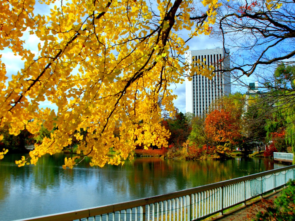 中島公園,札幌市天文台,札幌市景點