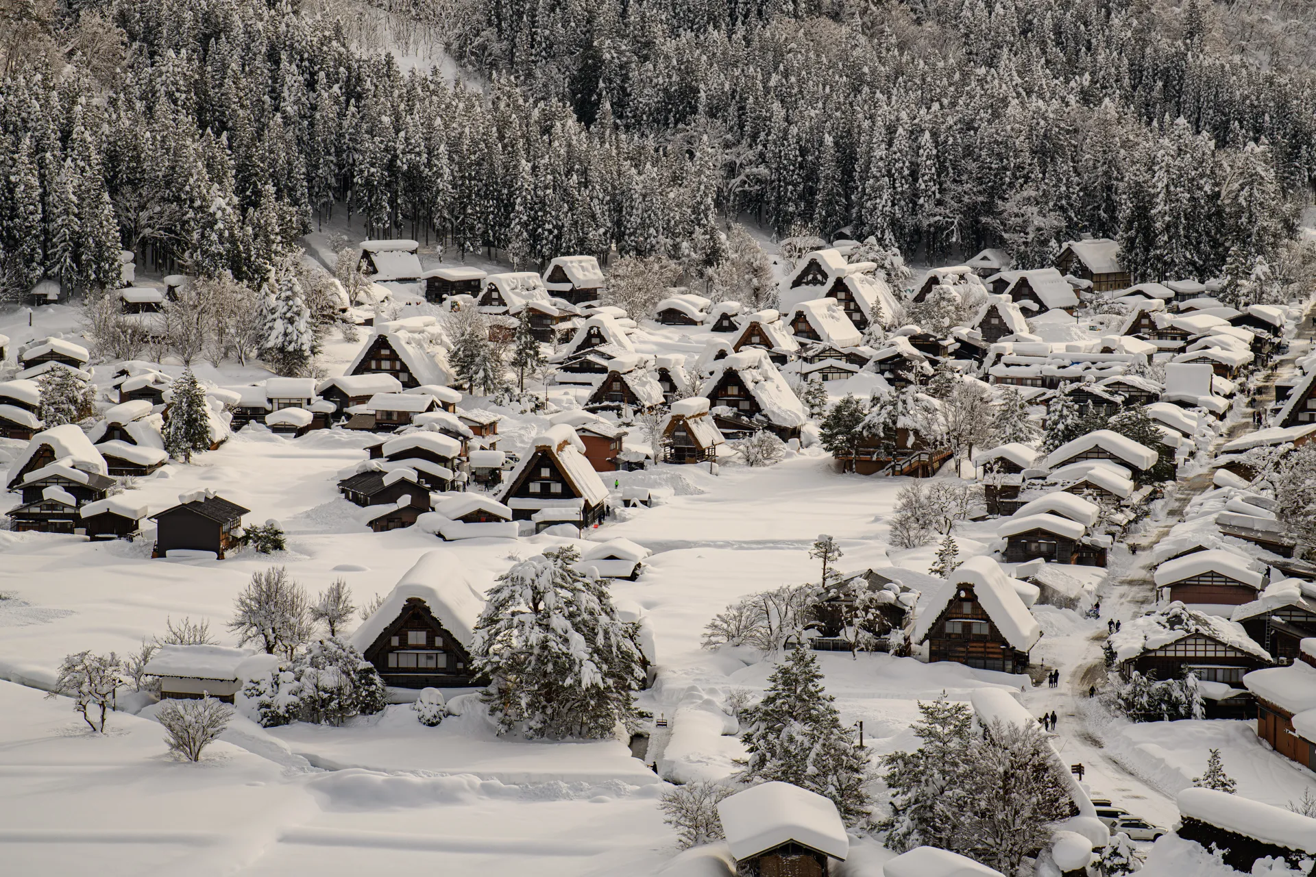 岐阜,合掌村,白川鄉