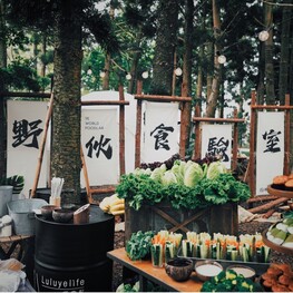 璐露野野餐