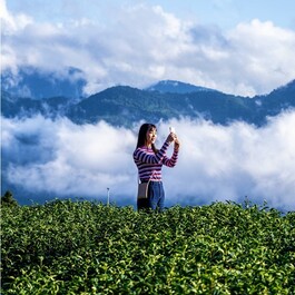 阿里山