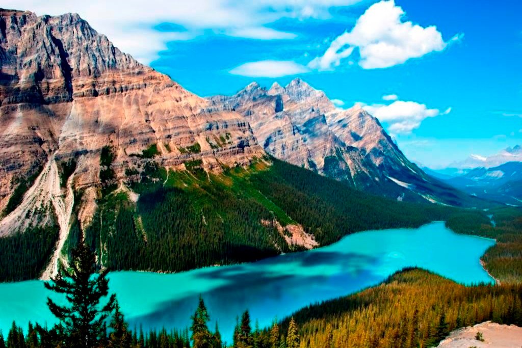 佩投湖 (Peyto Lake)