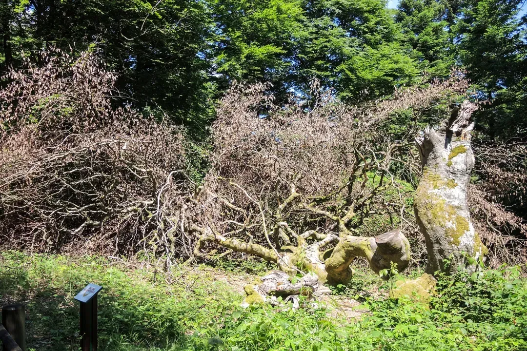 主視覺圖片