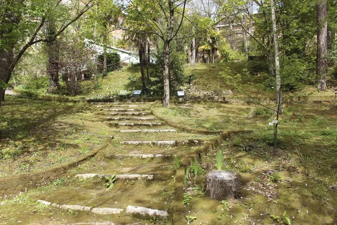 主視覺圖片