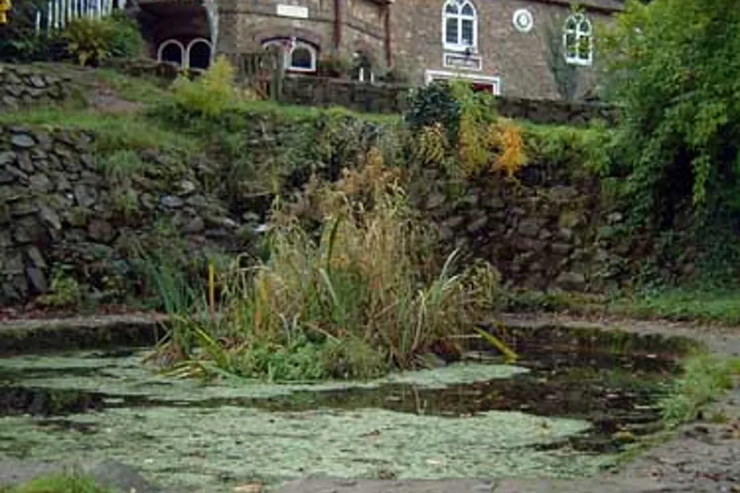 Rocky outcrops in St. Anna's waters during low tide