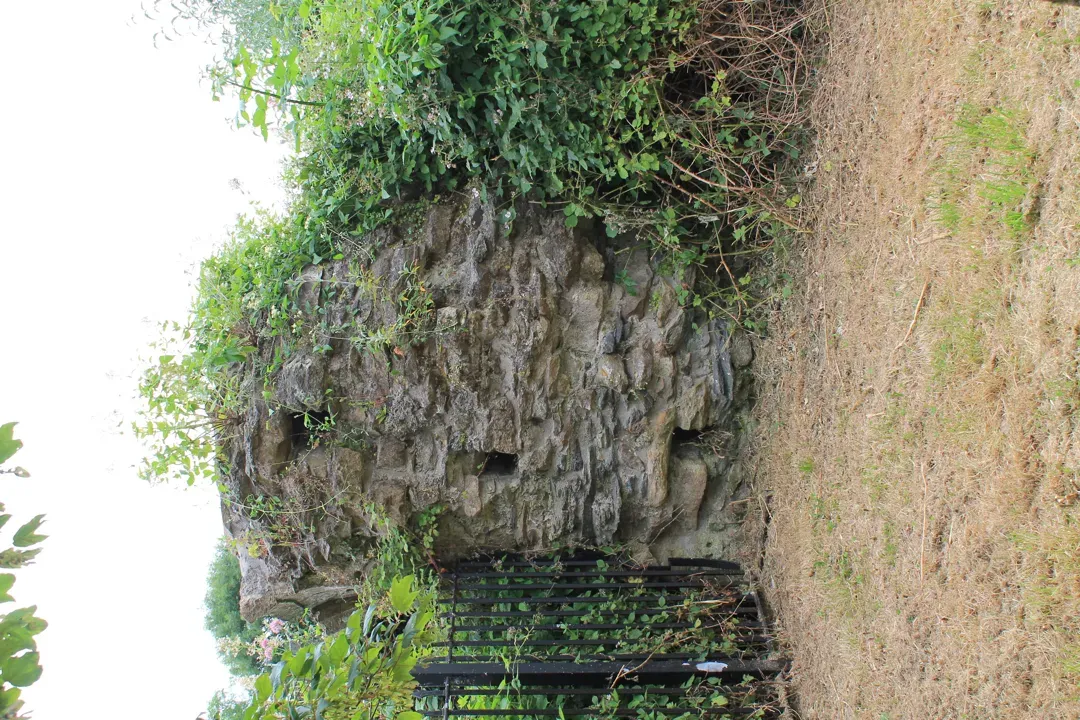 主視覺圖片