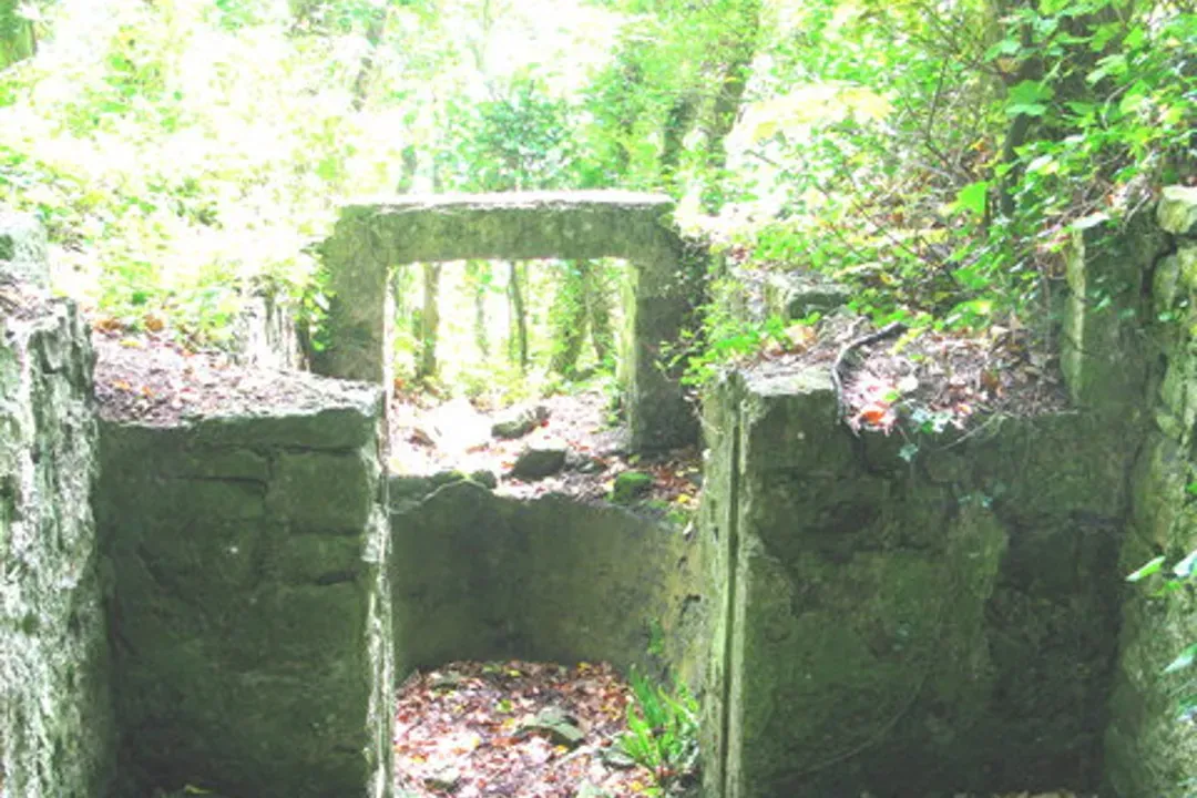主視覺圖片