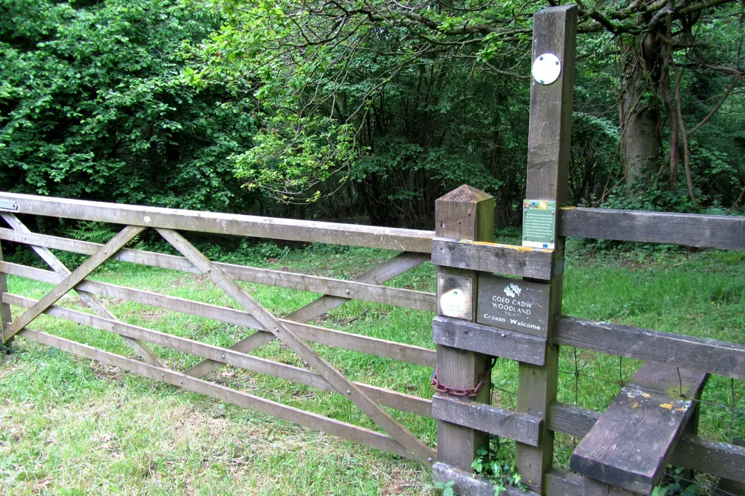 Fiddler's Elbow National Nature Reserve攻略及週邊必遊景點推薦｜雄獅旅遊