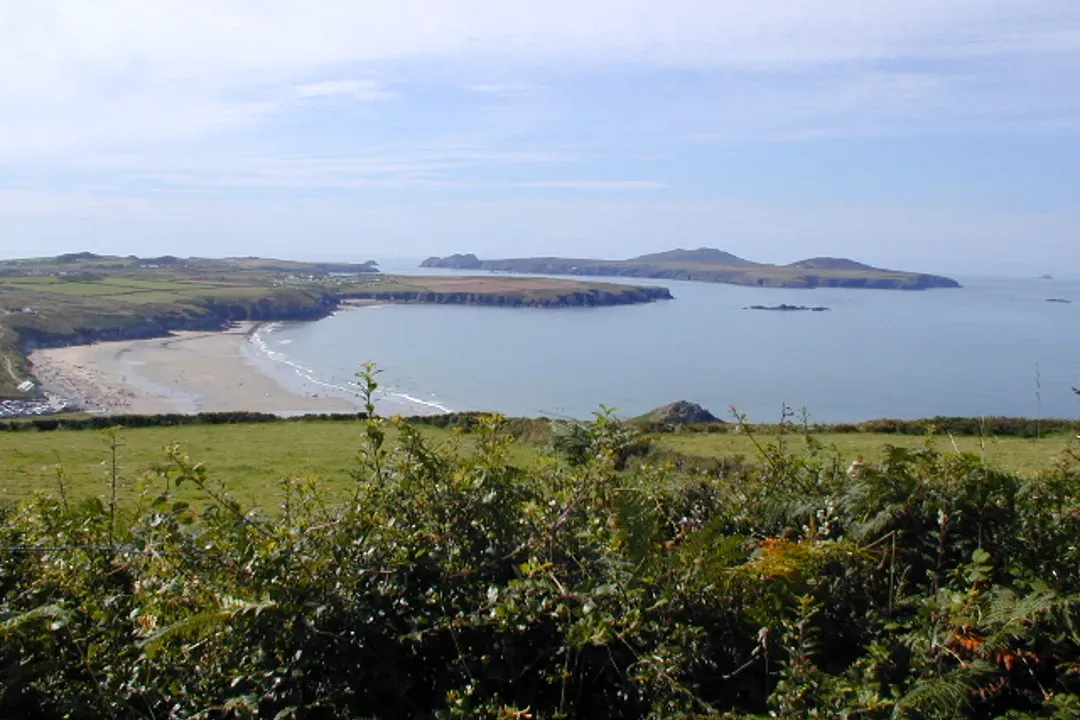 主視覺圖片