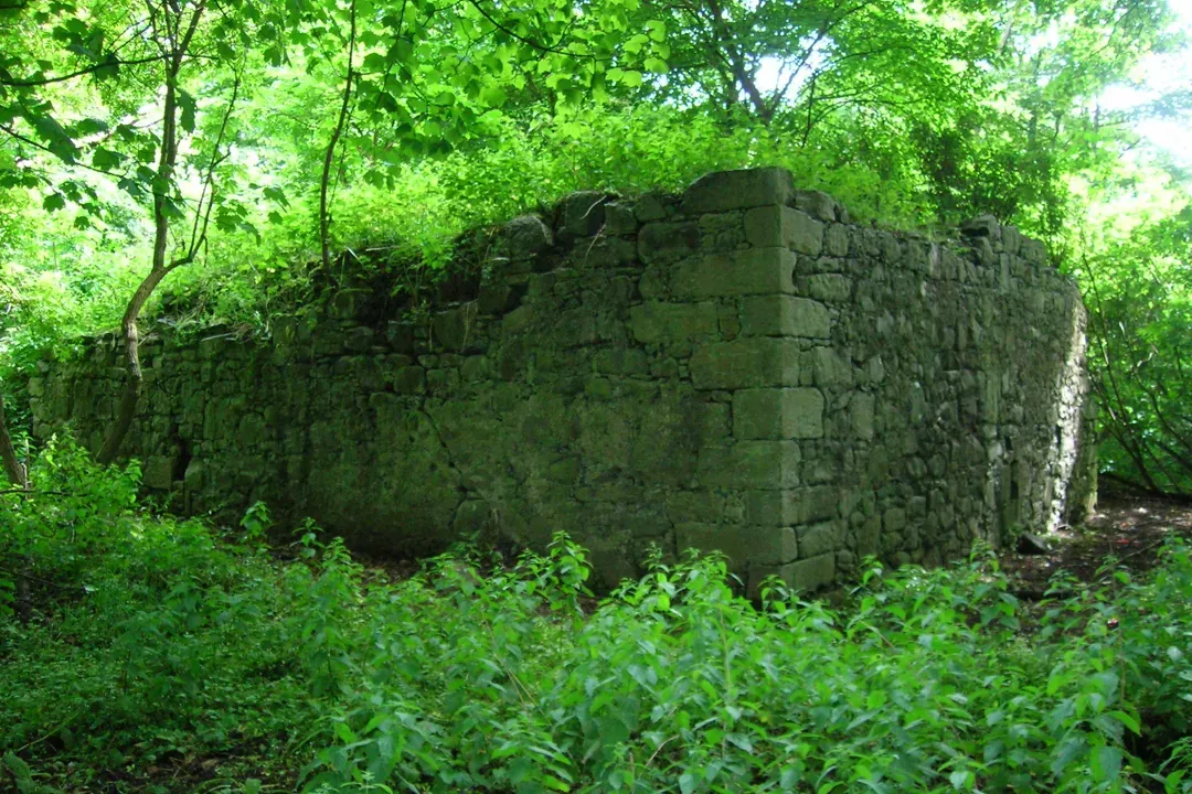 主視覺圖片