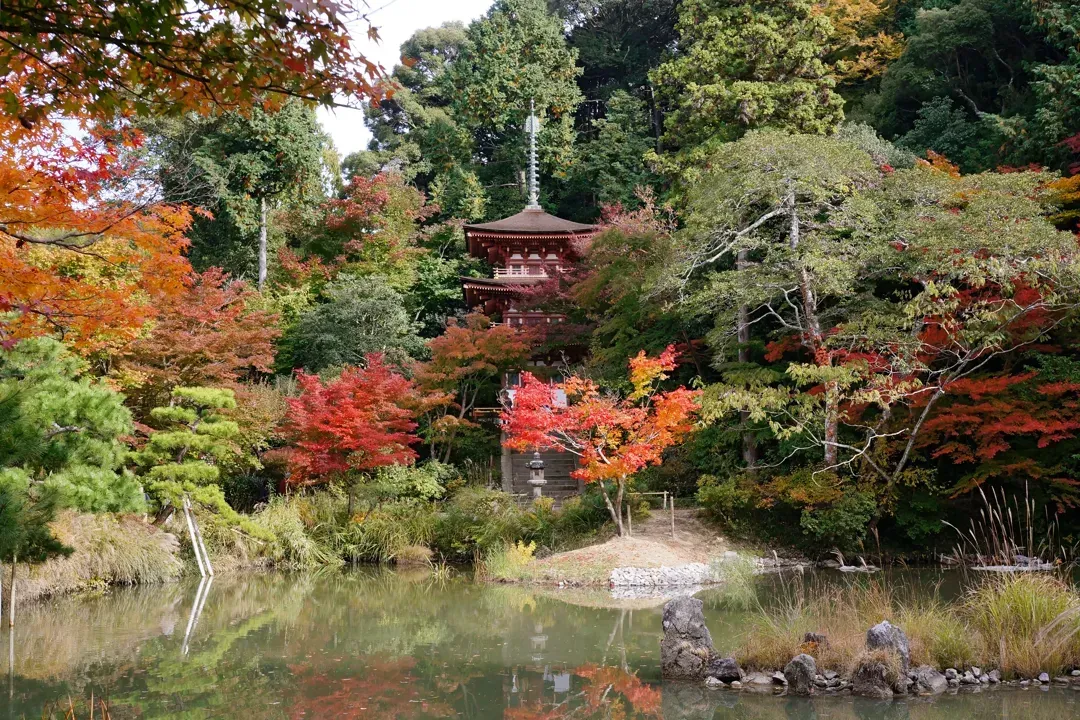 主視覺圖片