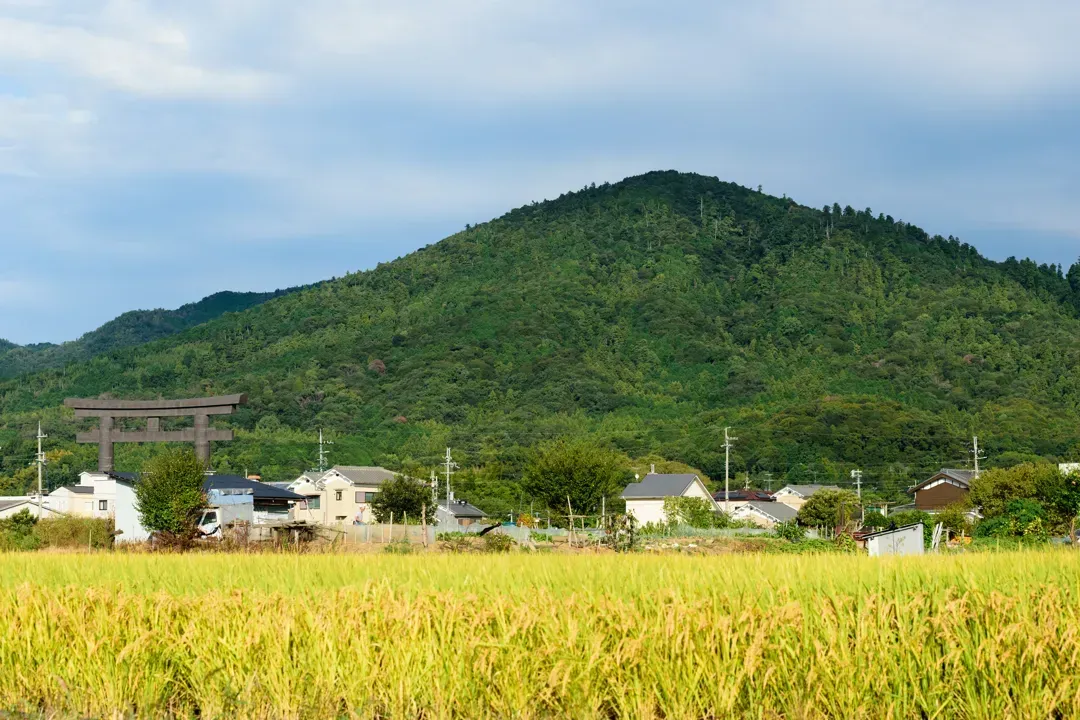 主視覺圖片