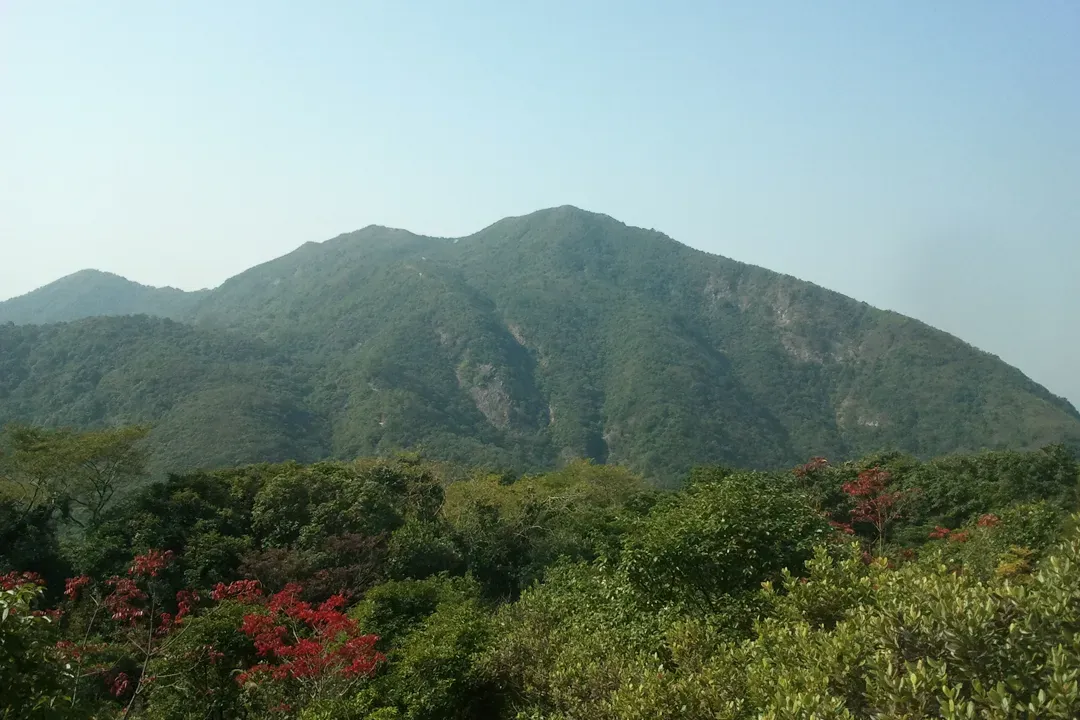 主視覺圖片