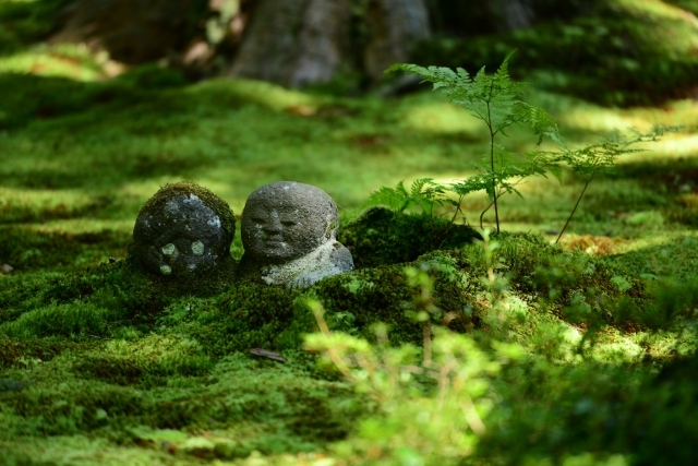 行程特色圖片