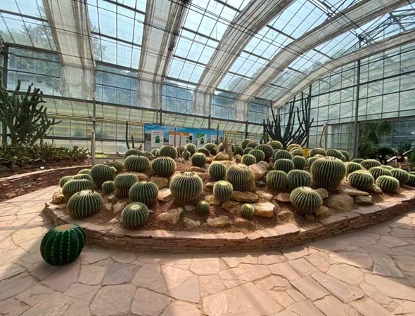 Queen Sirikit Botanic Garden