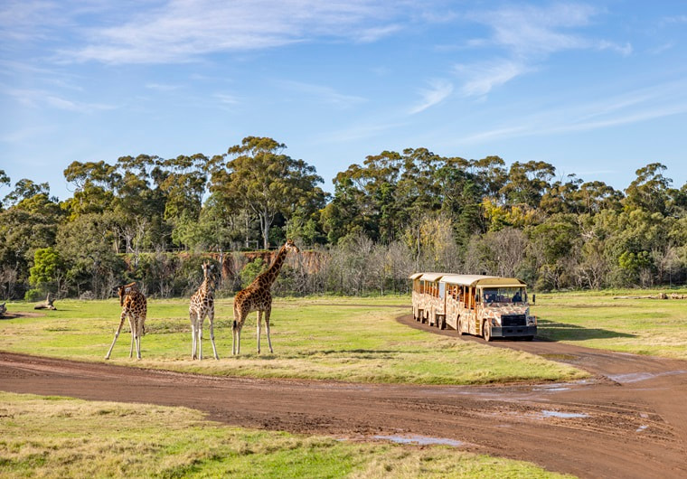 werribee zoo