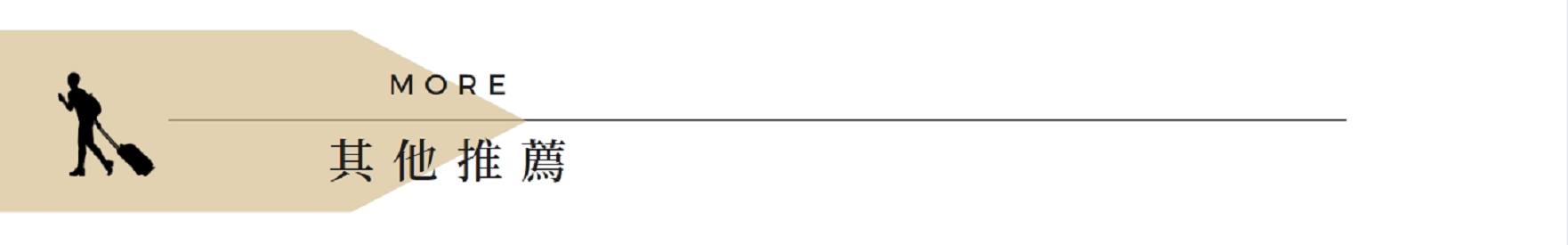 其他推薦