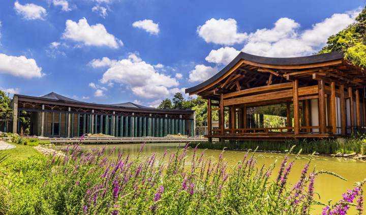 杭州國家版本館