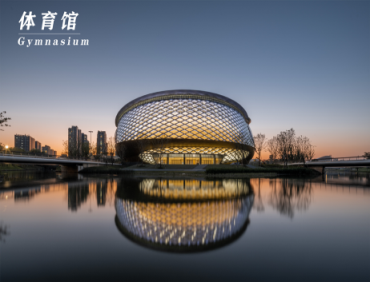 夜幕降临下的国球馆_