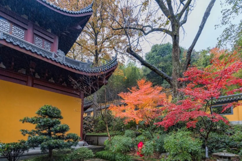 靈隱寺秋天