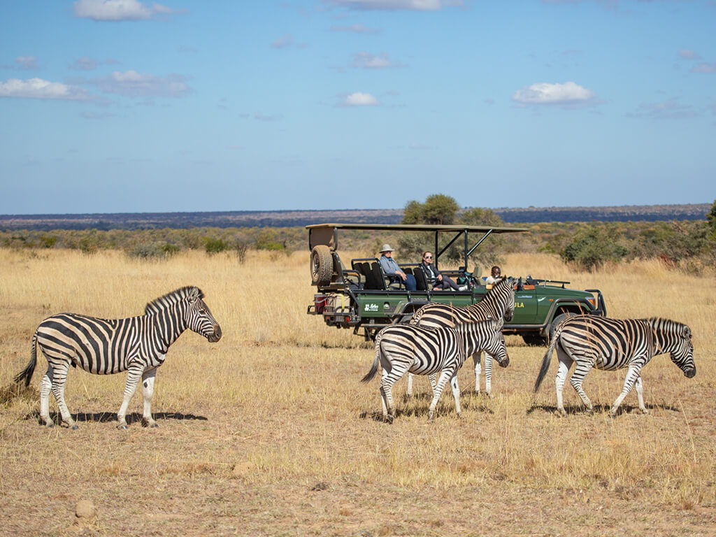 馬布拉野生動物保護區