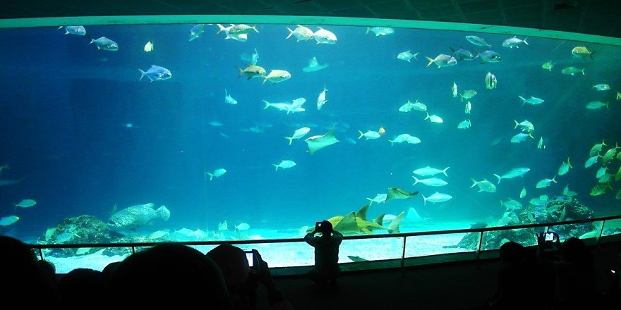 屏東,車城,國立海洋生物博物館,海生館