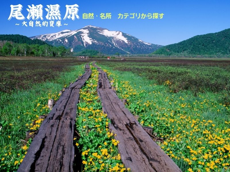 圖片Alt*