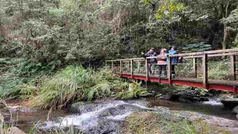 鎮西堡巨木步道