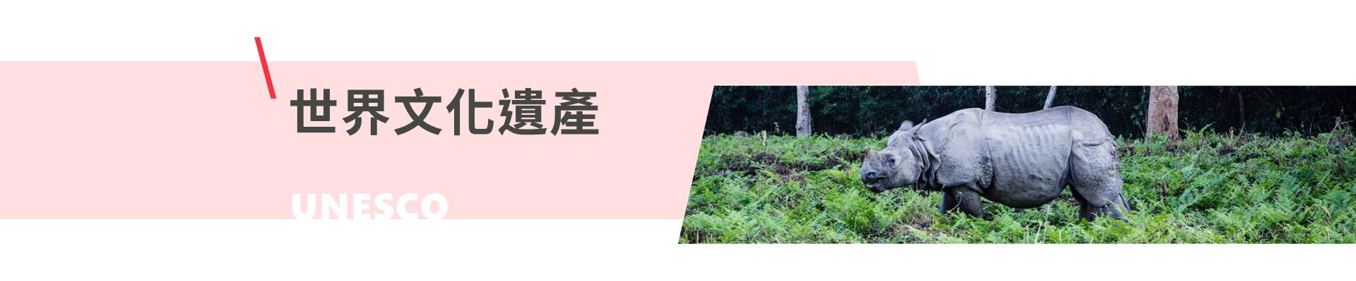 行程特色圖片